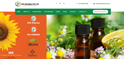 pest control services